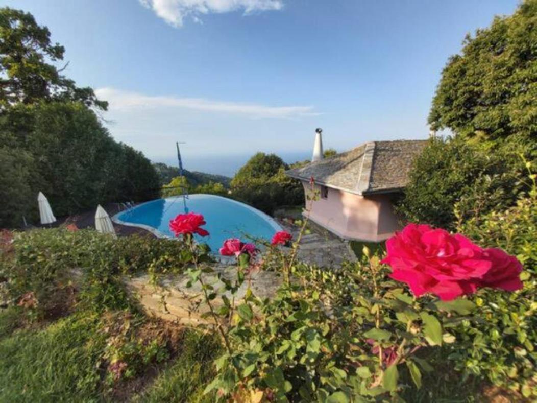 Вилла Tsagkarada Country Estate With Pool Экстерьер фото